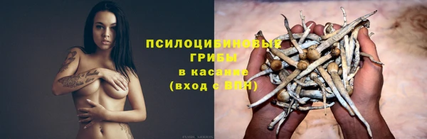прущий лед Дмитров