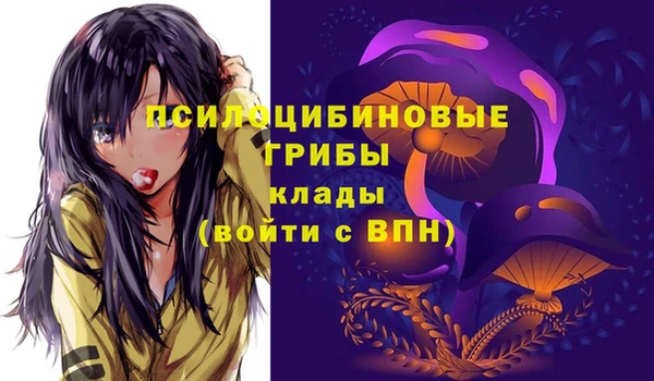 первитин Дмитриев